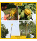 Hectare Papaya Picker (without pole)